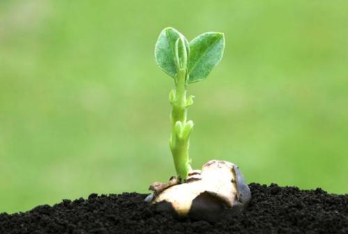 全項目土壤肥料養(yǎng)分檢測儀 全項目土壤肥料養(yǎng)分檢測儀