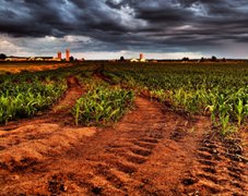 土壤養(yǎng)分分析儀對土壤有什么作用？