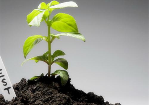 全項(xiàng)目土壤肥料養(yǎng)分檢測(cè)儀 全項(xiàng)目土壤肥料養(yǎng)分檢測(cè)儀